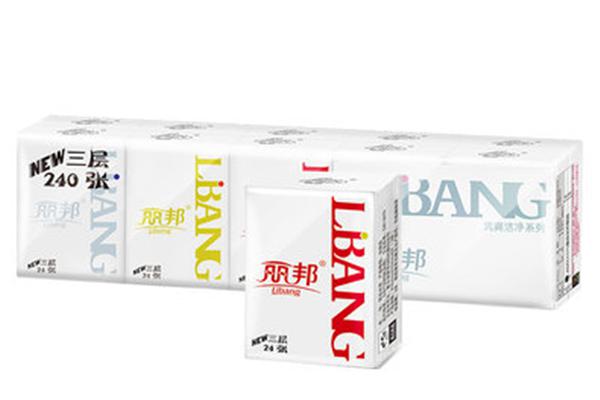 丽邦手帕纸（10包）