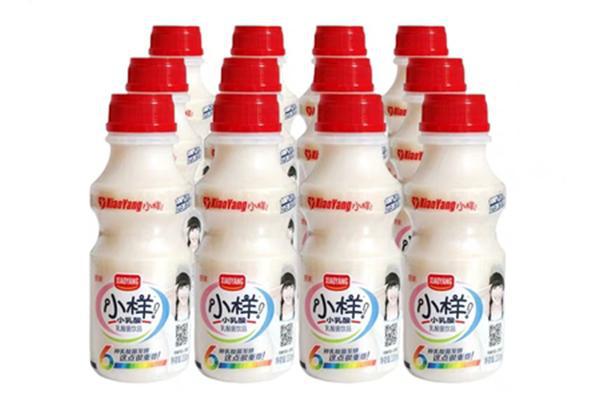 小样乳酸菌330ml（秒杀价）