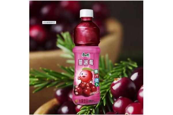 康师傅蔓越莓茶500ml