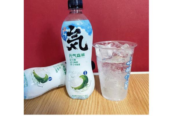 元气森林海盐椰子味500ml